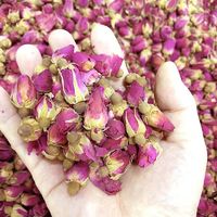 Rose de Lanzhou, Rose Kushui, Petite rose, Fleur de rose