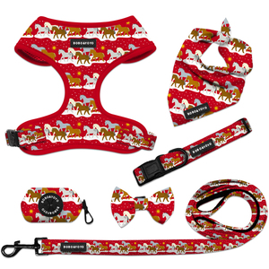 Nouvelle conception 2026 : Ensemble laisse, collier et harnais pour chat et chien, personnalisable avec logo, écologique, de luxe, anti-traction et ajustable - Product Image 1