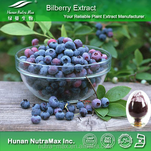 CGMP Factory Hochwertige Anthocyanoside Heidelbeerex trakt, Hunan Nutramax Supply - Product Image 3