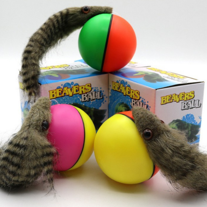 Beavers Ball Fun and Funky Pet Toy for Dogs and Cats