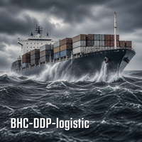 Agent maritime professionnel Transitaire 40HQ 40RF Chine vers Finlande Helsinki Kotka Transport spécial CIF