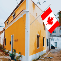 Drapeau du Canada en gros, drapeaux nationaux de tous les pays, 3x5 pieds, en fibre de polyester pour extérieur, livraison rapide, personnalisable