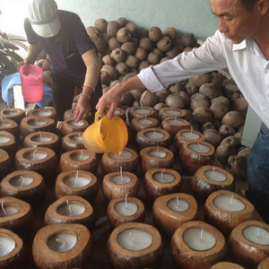 VIETNAM TOP PRODUIT DE NOIX DE COCO BOUGIE - Product Image 1