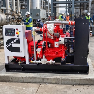Générateur à gaz à puissance multiple, démarrage automatique et à distance, avec générateur à châssis ouvert - Product Image 1