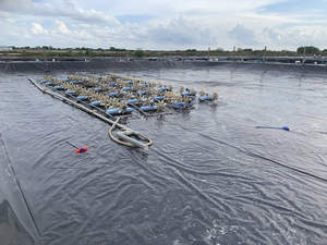 Revêtement en panneaux modulaires préfabriqués en HDPE pour système de bassin d'élevage de poissons circulaire - Product Image 3