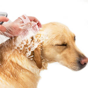 Cepillo de baño para perros, cepillo suave portátil para ducha de mascotas, cepillo de masaje multiusos para el cuidado del cabello para cachorros, productos para mascotas, accesorios para el hogar - Product Image 3