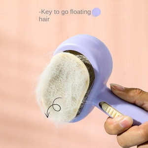 Double-Sided Eco-Friendly Plastic ABS Pet Needle Comb for Dog and <b>Cat</b> Hair Removal - Product Image 2