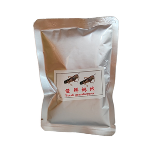 Fábrica chinesa alta nutritiva gafanhoto fresco para seus adoráveis animais - Product Image 3