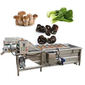 Commercial mushroom washing machine kelp cleaning machine bubble washing machine for vegetable fruit