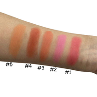 Palette de fard à joues 5 couleurs personnalisable avec votre logo, vente en gros OEM ODM sous marque privée