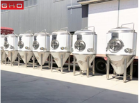 CE 3000L Fermenteur Industriel Commercial Grande Capacité avec Trappe Latérale pour la Fermentation de la Bière