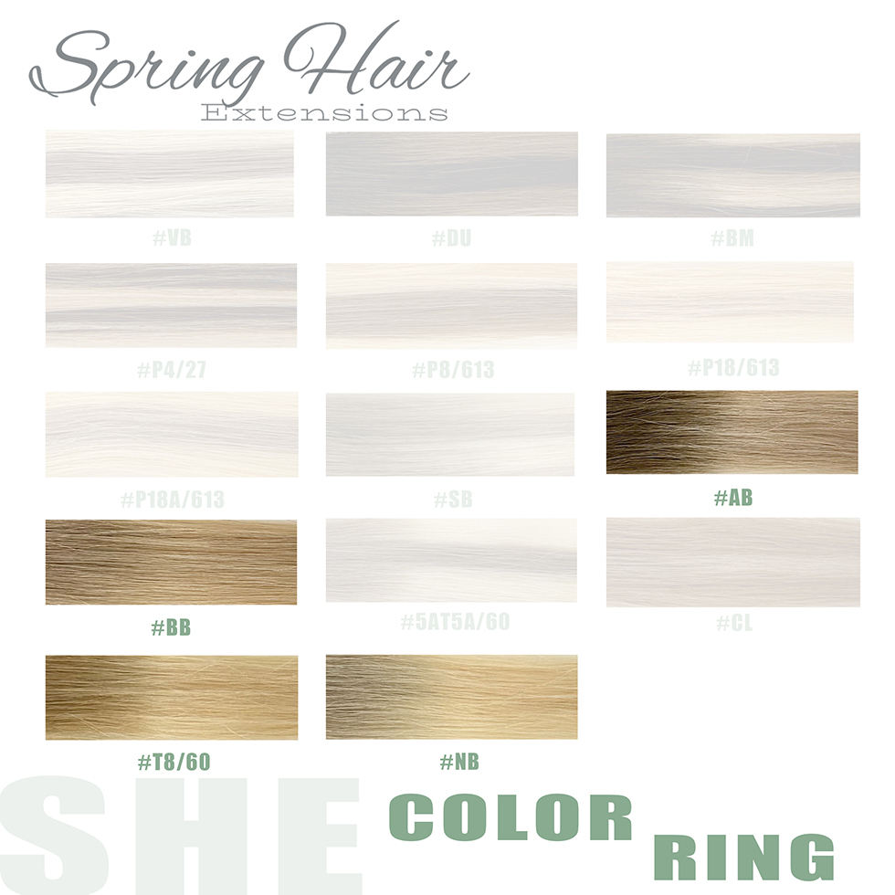 มาตรฐานเรีมีรูท/Ombre