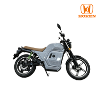 D300 3000W Electric Motorcycle 72V80Ah LFP Battery 100km/h Dual Disc Brake 17 Inch Vacuum Tire Electric Motorbike
