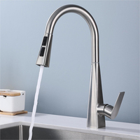 Usine vente chaude robinet de cuisine monté sur le pont en acier inoxydable robinet de cuisine extractible mitigeur chaud froid robinet d'eau robinet d'évier de cuisine