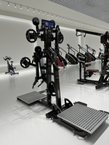 Haltère réglable pour exercices de levée latérale et de renforcement des deltoides postérieurs – Équipement d'entraînement à domicile pour la musculation ciblée des épaules - Product Image 1