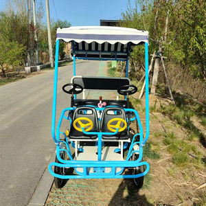 Vélo cargo électrique personnalisé 2026 pour les trajets en zone touristique, partage de vélos - Product Image 6