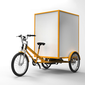 Ester ba bánh chở hàng nặng, hộp nhôm, khung hình vuông, hệ thống treo sau, che mưa để lựa chọn - Product Image 6