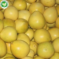 Scherpe Draakverse Zoete Pomelo |   Premium Chinese citrusvruchten leverancier voor wereldwijde kopers van verse producten
