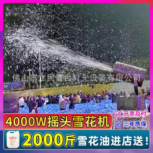 Limin Stage Snow Machine 4000W Oscillating Indoor Outdoor Wedding Event Use - Product Image 6