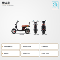 Moto électrique de style Citycoco 1000W 60V30Ah 45km/h avec freins à disque doubles, autonomie de 75km, scooter électrique pour adultes pour les trajets quotidiens