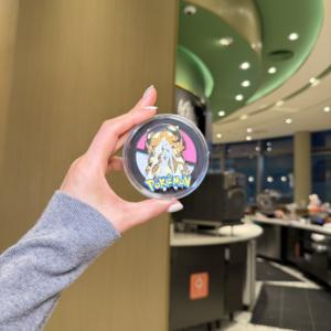 Vente en gros d'aimants de réfrigérateur en papier 3D <span class=keywords><strong>Pokémon</strong></span> Pirates - Articles de collection d'anime haut de gamme, emballage sous blister - Product Image 1