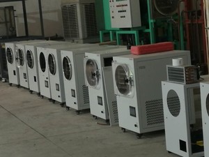 工業用5kgドライマシン真空Liofilizadorフリーズドライヤー卵価格リスト - Product Image 3