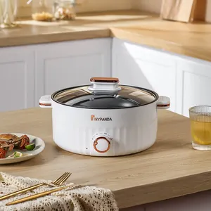 24CM Electric rice cooker with knob switch electric hot pots nonstick pot