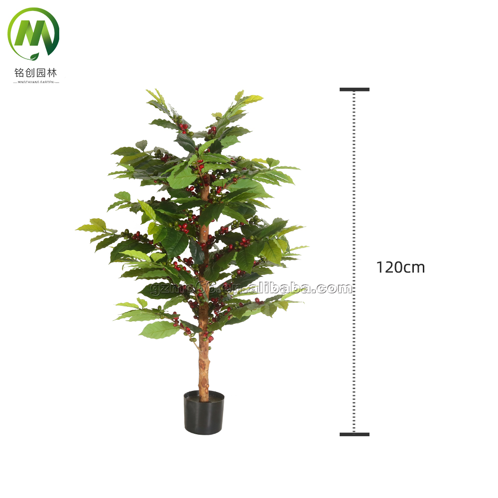 120cm