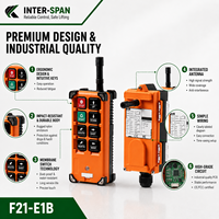 Interrupteur à distance sans fil INTER-SPAN F21-E1B 315 MHz pour grue à usage industriel, 8 boutons, garantie 1 an, portée 100 m