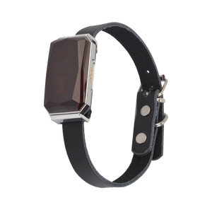 G12 impermeable <span class=keywords><strong>GPS</strong></span> localizador de mascotas <span class=keywords><strong>Collar</strong></span> inteligente universal para gatos y perros con control remoto Beidou y rastreador de posicionamiento AGPS - Product Image 4