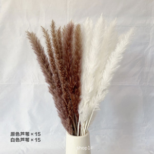 Bouquet de fleurs séchées naturelles DREA, herbe préservée, décoration bohème, centre de table pour mariage, arrangement floral artificiel - Product Image 6