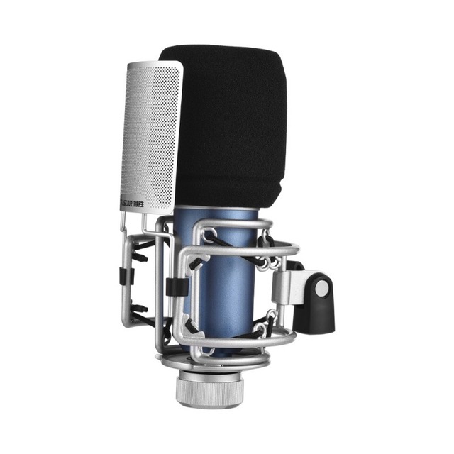 TAKSTAR SM-9 Cardioid-directional Condenser Recording Microphone Metal Structure Wide Frequency Response with Shock Mount Windsc