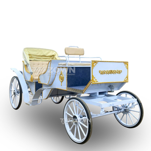 ZOWN - Carrozas Eléctricas Personalizables para Bodas con 2 Años de Garantía - Product Image 5