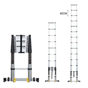 Customized Size Retractable 5.4 M Aluminum Alloy Wall Mounted Ladder with Balance Bar