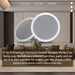 104 Chất Lượng Cao 6Inch 10W Loa Không Thấm Nước Địa Chỉ Công Cộng Nhà Theatre 2 Cách Loa Trần Hệ Thống - Product Image 4