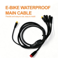 Controlador de Motor sin Escobillas de Onda Sinusoidal de 52V 2000W 3000W 25A/30A S810 con Pantalla LED y Acelerador PAS para Bicicleta Eléctrica y Scooter Eléctrico
