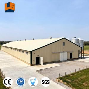 Costruzione d'acciaio prefabbricata della casa di allevamento di polli della struttura d'acciaio della casa di pollame commerciale a basso costo per le vendite - Product Image 3