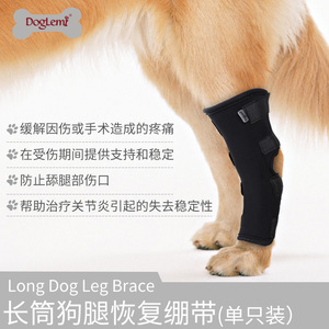 Rodillera de neopreno <span class=keywords><strong>para</strong></span> perros, Protector ortopédico de recuperación, soporte <span class=keywords><strong>para</strong></span> patas traseras - Product Image 3