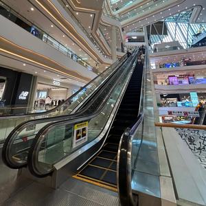 Escalera Mecánica Automática para Pasillos de Supermercados, para Centros Comerciales, Aeropuertos, Metro, Diseño Moderno para Exteriores, Escalera Mecánica OTIS - Product Image 1