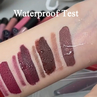 30 Couleurs En Gros Marque Privée Ensemble De Rouge À Lèvres Mat Kit De Rouge À Lèvres Étanche Longue Durée Rouge À Lèvres Et Crayon À Lèvres Vegan