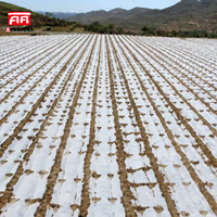 Film de paillage agricole transparent blanc en PE, résistant à la chaleur et à l'humidité, anti-UV, anti-parasites
