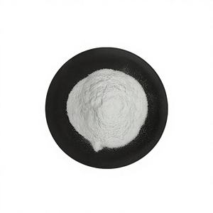 Acide Polyglutamique Extrait de Natto Poly (L-glutamate) Qualité Cosmétique CAS 25513-46-6 PGA Acide Polyglutamique pour l'Hydratation de la Peau - Product Image 1