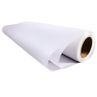 Film de transfert DTF imprimable à chaud, double couchage mat, pour imprimante DTF, rouleau de 30cm, 33cm, 60cm, 80cm x 100m, pour vêtements