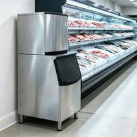 Attrezzatura Commerciale Automatica per la Produzione di Ghiaccio, Personalizzabile, Opzioni da 250kg, 300kg, 500kg, 1 Tonnellata, Stoccaggio Ghiaccio da 150kg