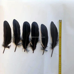 Precio al por mayor, plumas de ganso blancas y negras de 6-8 pulgadas para bádminton, Ala de Ángel, artesanía, atrapasueños, decoración, disfraz de Carnaval - Product Image 6