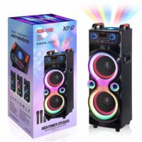 Altavoz Karaoke Portátil OEM NDR-1100 de 10 Pulgadas de Alta Potencia para Exteriores con Bluetooth, 2 Micrófonos, Luces LED, para Fiestas, DJ, HIFI, Inalámbrico