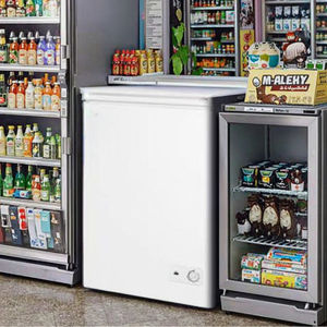 Congélateurs <span class=keywords><strong>Coffre</strong></span> Commerciaux Industriels 100L 200L 150L Alimentés par Courant Alternatif – Mini Congélateurs à Crème Glacée et Équipements de Réfrigération pour le Stockage - Product Image 3