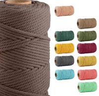 Corde de Manille en Sisal Tressé Naturel Recyclable à Chevrons Cordon Rayé Ficelle pour Chaussures Sacs DIY Emballage Décoratif en Vrac
