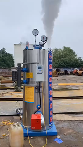 Lhs piccolo verticale 500 700 1000 1500 Kg Gas naturale gpl gasolio caldaia a vapore a gasolio - Product Image 6