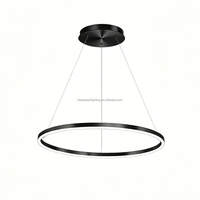 Luminaire en aluminium noir pour magasin, lampe de magasin, diamètre 450 mm, 32 W, luminaire linéaire circulaire pour escalier, suspension LED circulaire